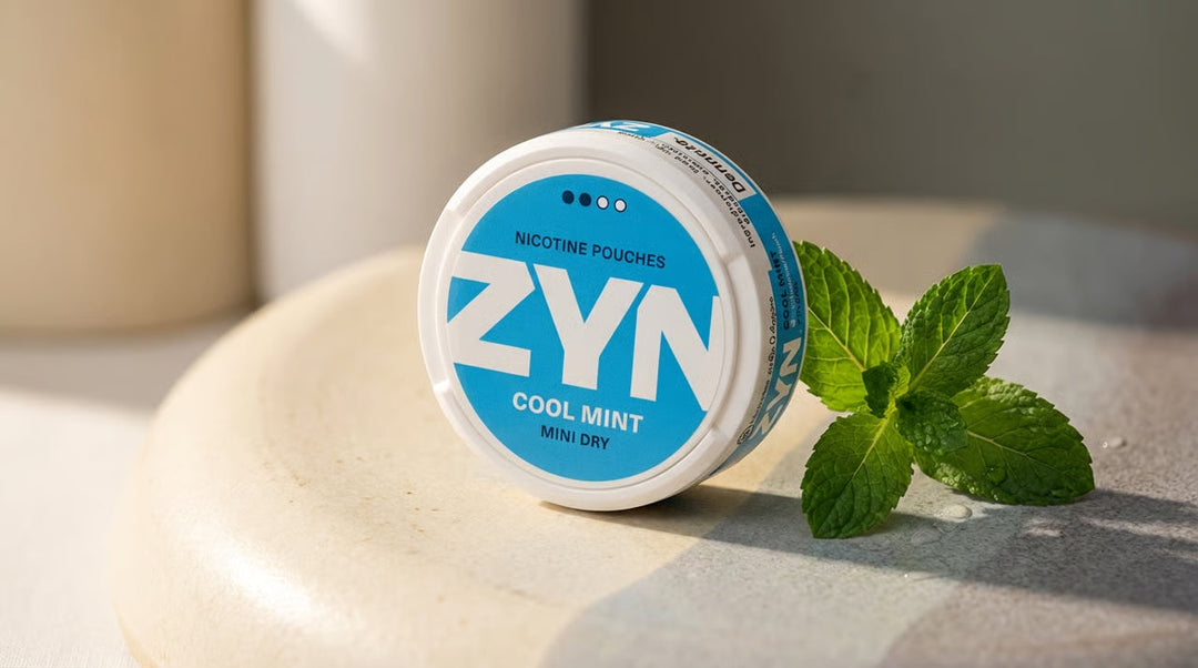 The Complete ZYN Guide: Flavors, Strengths, and How to Choose (2026)