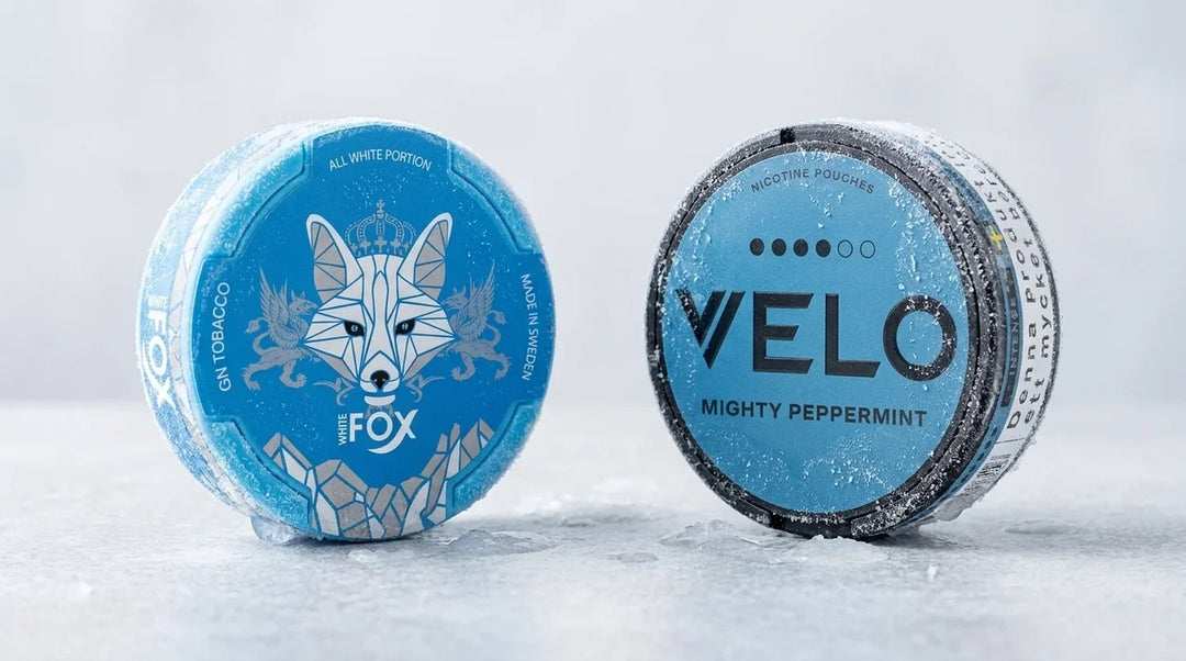 White Fox vs Velo: Specialist Strength Meets Mainstream Polish