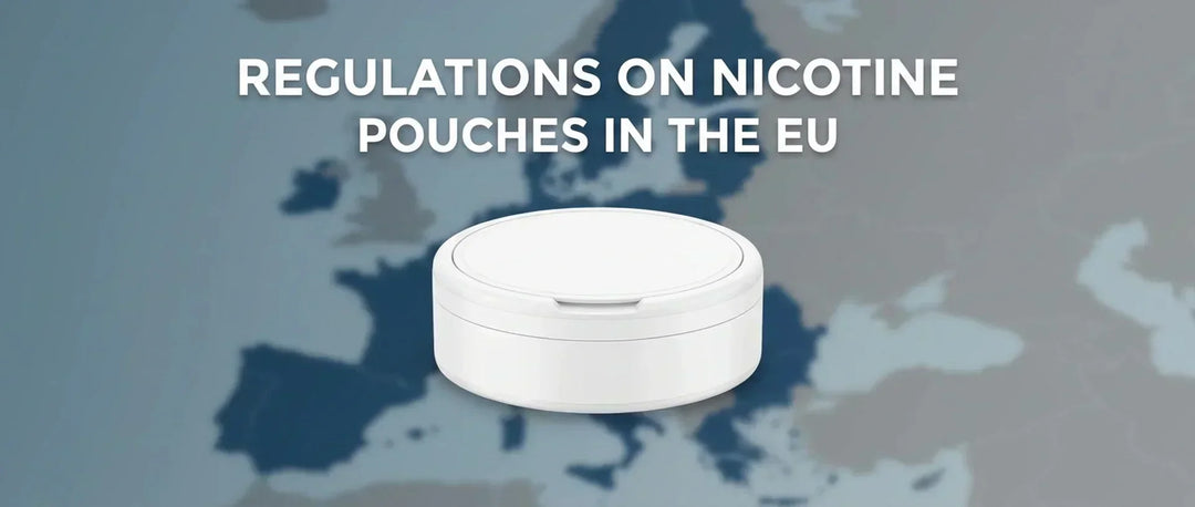 EU Nicotine Pouch Regulation in 2026: A Clear Guide for Buyers