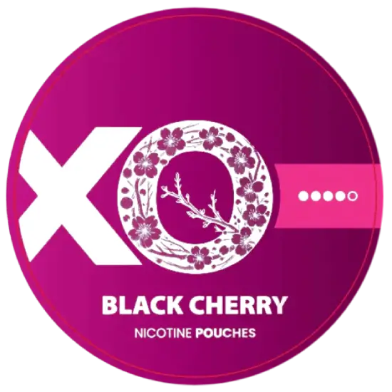 XO Black Cherry nicotine pouches