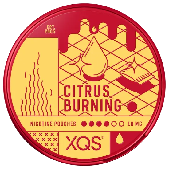 XQS Citrus Burning 10mg nicotine pouches